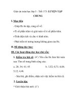Giáo án toán học lớp 5 - Tiết 173: LUYỆN TẬP CHUNG pdf