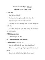 Giáo án khoa học lớp 5 - Bài dạy: PHÒNG BỆNH VIÊM NÃO doc