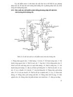 Các quá trình và thiết bị công nghệ sinh học : CÁC SƠ ĐỒ THIẾT BỊ - DỤNG CỤ SẢN XUẤT CÁC SẢN PHẨM TỔNG HỢP TỪ PHƯƠNG PHÁP VI SINH VẬT part 3 potx