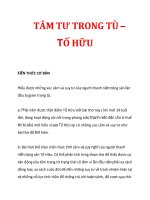 TÂM TƯ TRONG TÙ – TỐ HỮU docx