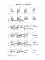 ĐỀ LUYỆN THI TIẾNG ANH SỐ 11 ppsx