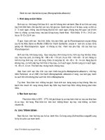 Bài giảng bệnh chuyên khoa nông nghiệp : BỆNH HẠI CÂY LÚA part 4 pdf