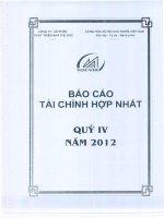công ty phát triển nhà thủ đức báo cáo tài chính hợp nhất quý 4 năm 2012