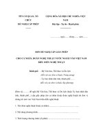 MẪU ĐƠN ĐỀ NGHỊ CẤP GIẤY PHÉP CHO CÁ NHÂN, ĐOÀN NGHỆ THUẬT NƯỚC NGOÀI VÀO VIỆT NAM BIỂU DIỄN NGHỆ THUẬT pptx