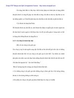 Kinh nghiệm thu hút FDI của các nước và vận dụng vào Việt Nam - 4 pptx