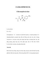 CLORAMPHENICOL pdf