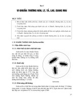 Vi sinh - ký sinh trùng - Bài 3 pdf