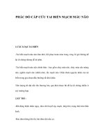 PHÁC ĐỒ CẤP CỨU TAI BIẾN MẠCH MÁU NÃO ppsx