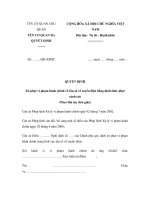 MẪU QUYẾT ĐỊNH Xử phạt vi phạm hành chính về tần số vô tuyến điện bằng hình thức phạt cảnh cáo ppsx