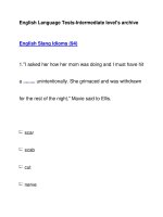 English Language Tests-Intermediate level''''s archiveEnglish Slang Idioms (94) potx