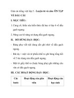 Giáo án tiếng việt lớp 5 - Luyện từ và câu: ÔN TẬP VỀ DẤU CÂU pot