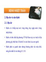 Thú y cơ bản : Các bệnh truyền nhiễm part 3 pdf