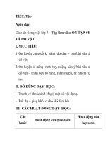 Giáo án tiếng việt lớp 5 - Tập làm văn: ÔN TẬP VỀ TẢ ĐỒ VẬT pot