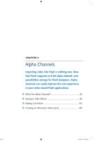 Flash after effects sự kết hợp chuyên nghiệp phần 5 pdf