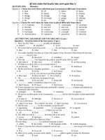 Đề thi chọn đội tuyển học sinh giỏi lớp 12 pot