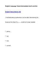 English Language Tests-Intermediate level''''s archiveEnglish Slang Idioms (29) potx
