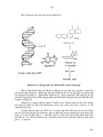 Giáo trình độc chất học part 8 docx