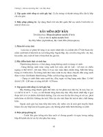 Sâu hại cây lương thực - lúa, bắp, khoai : Sâu hai cây bắp part 2 doc