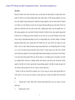 Bản chất và vai trò của các công ty xuyên quốc gia - 1 pps