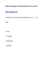 English Language Tests-Intermediate level''''s archiveUsing Adjectives (2) docx