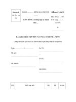 MẪU BẢNG KÊ GIẤY NỘP TIỀN VÀO NGÂN SÁCH NHÀ NƯỚC potx