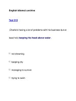English Idioms''''s archiveTest 010 pps