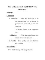 Giáo án khao học lớp 5 - SỰ SINH SẢN CỦA ĐỘNG VẬT. ppsx