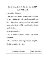 Giáo án tiếng việt lớp 5 - Tập làm văn: LUYỆN TẬP TẢ CẢNH pot