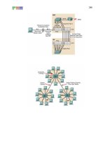 Giáo trình phân tích phương pháp phân đoạn mạng LAN theo bảng địa chỉ nguồn và đích của vector khoảng cách p6 potx