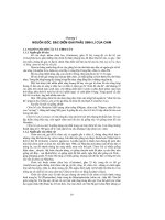 Chăn nuôi bồ câu chim cút part 2 pot