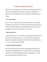 13 điều bé nên biết trước khi đi học pps