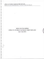 Công ty cổ phần tập đoàn thép tiến lên báo cáo tài chính quý 3 năm 2012