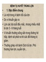 Bệnh tụ huyết trùng ở lợn part 1 ppt