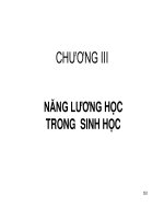 LÝ SINH ĐẠI CƯƠNG - CHƯƠNG III NĂNG LƯƠNG HỌC TRONG SINH HỌC pptx