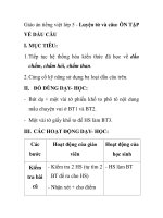 Giáo án tiếng việt lớp 5 - Luyện từ và câu: ÔN TẬP VỀ DẤU CÂU pdf