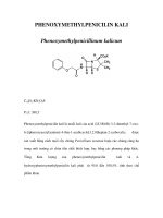 PHENOXYMETHYLPENICILIN KALI docx