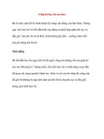 Giúp bé học bò an toàn pptx