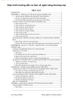 Giáo trình hướng dẫn cơ bản về ngân hàng thương mại phần 1 doc