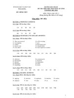 ĐỀ THI CHỌN HỌC SINH GIỎI CẤP TỈNH NĂM HỌC 2010- 2011 MÔN: TIẾNG ANH LỚP 12 pot