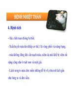 Thú y cơ bản : Các bệnh truyền nhiễm part 5 pptx
