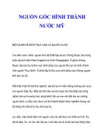 NGUỒN GỐC HÌNH THÀNH NƯỚC MỸ_5 pps