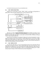 Sinh học đại cương part 8 pptx