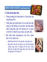 Thú y cơ bản : Các bệnh truyền nhiễm part 8 ppt