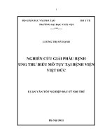Nghiên cứu giải phẫu bệnh học ung thư biểu mô tụy tại bệnh viện việt đức