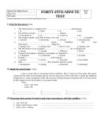 FORTY-FIVE-MINUTE TEST Mark 008 pdf