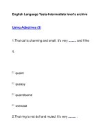 English Language Tests-Intermediate level''''s archiveUsing Adjectives (3) pdf