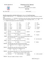45 Minute Test - Mã đề 248 potx