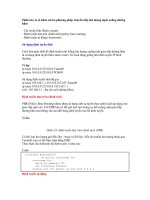 KỸ THUẬT LƯU LƯỢNG TRONG MPLS - 3.3. Chuyển tiếp lưu lượng xuống đường hầm ppt