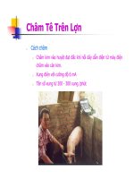 Bài giảng châm cứu thú y part 10 pdf