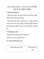 Giáo án tiếng việt lớp 5 - Luyện từ và câu: LUYỆN TẬP VỀ TỪ NHIỀU NGHĨA doc